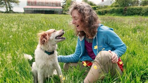 Loyal dogs who refused to leave tragic owner’s side。